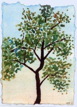 watercolor painting by JMB - Japanese style tree