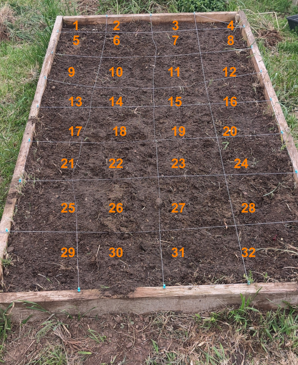 Square foot garden grid
