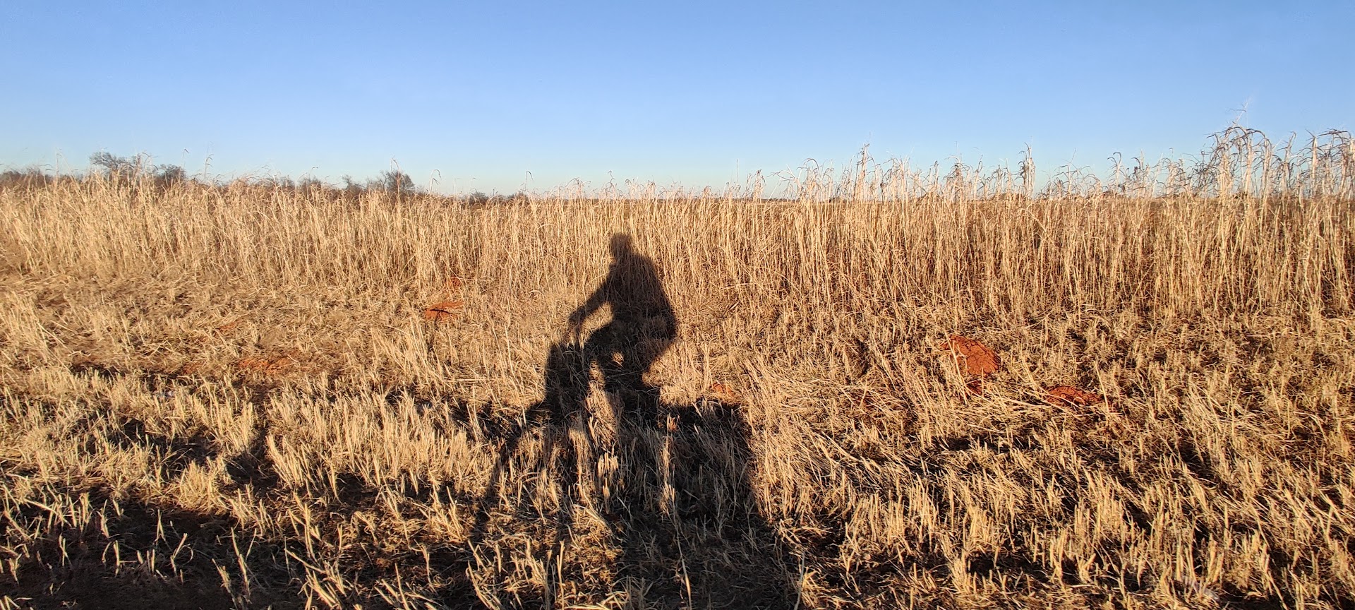 shadow of JMB riding a bike on a country road in Oklahoma