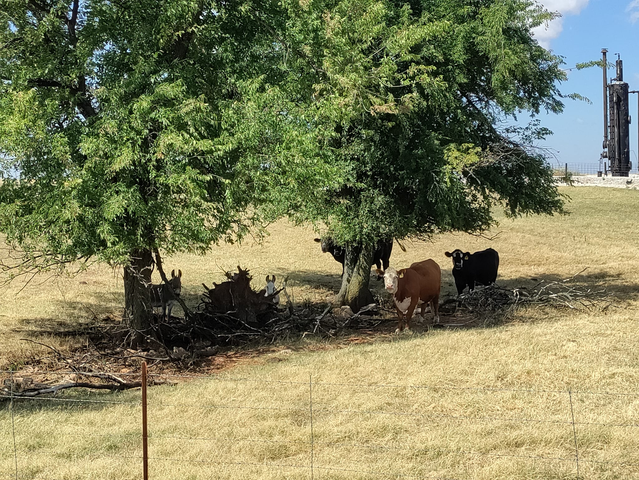 pictures from E-bike ride to Cashion