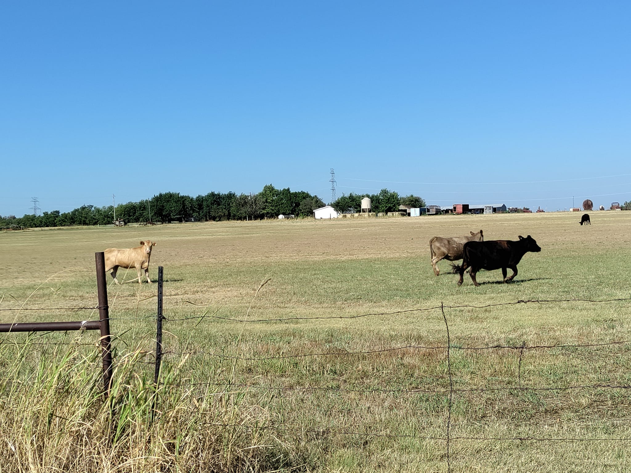 pictures from E-bike ride to Cashion