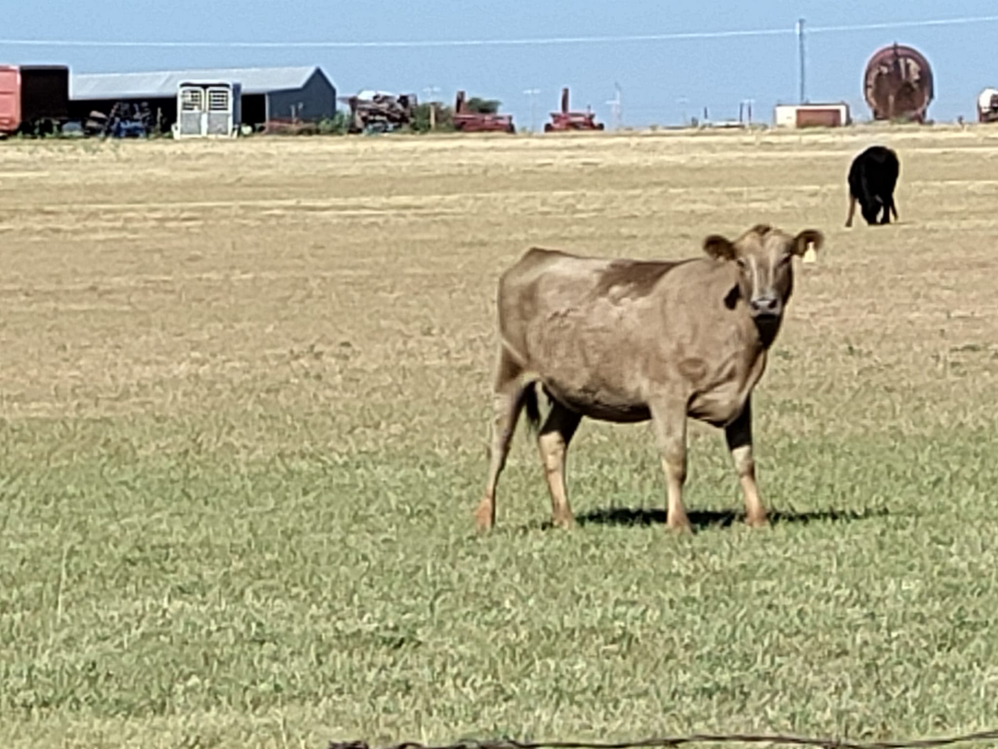 pictures from E-bike ride to Cashion