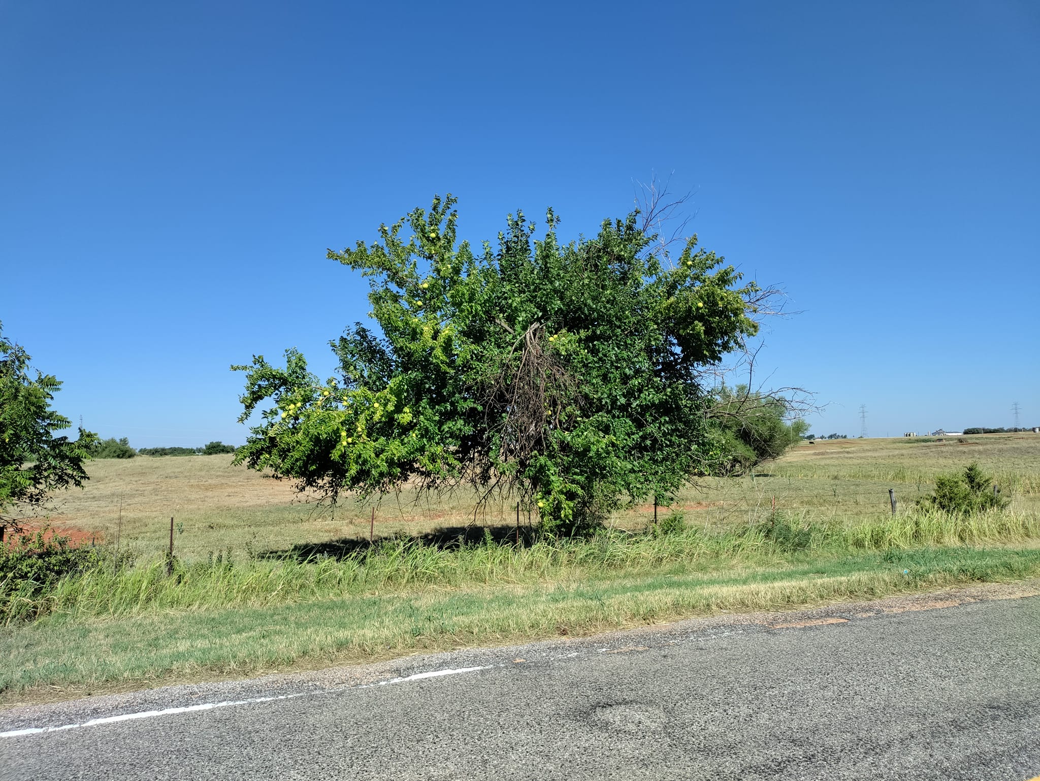 pictures from E-bike ride to Cashion