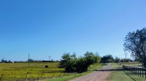 Morgan Road between Memorial and 122nd on Oct 11, 2021